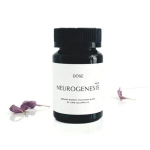 Capsules de psilocybine à microdose pour neurogenèse
