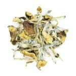 golden teachers mushrooms
